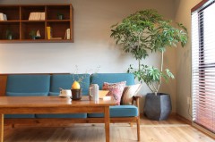 676b2bcf3c718ae7d2463e95232879d61