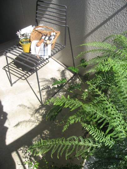 IMG_9560 - コピー